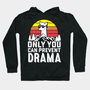 Funny Retro Llama Camping, Only You Can Prevent Drama Gift product Hoodie